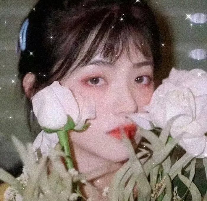 有夭海报