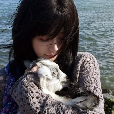 法内情大结局海报